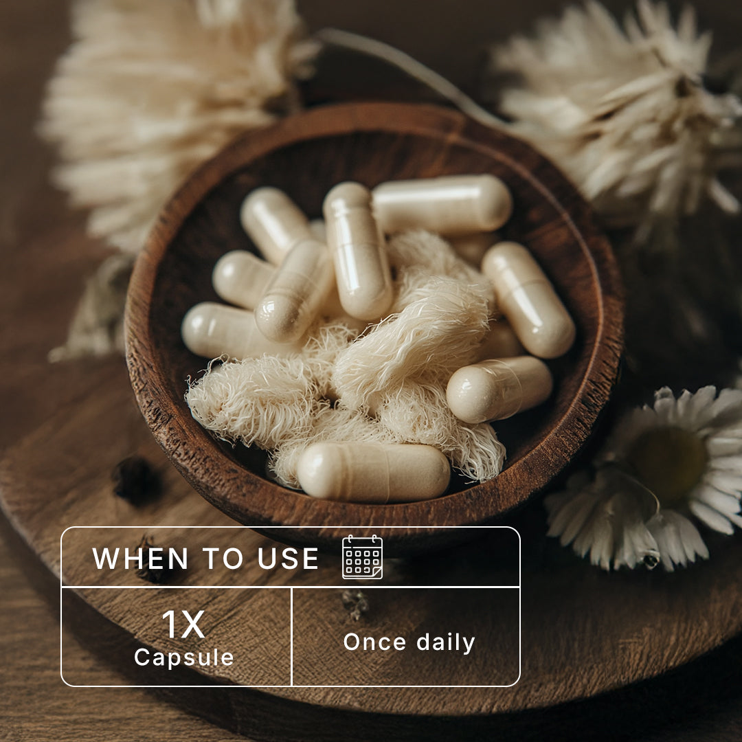 Lion's Mane Extract