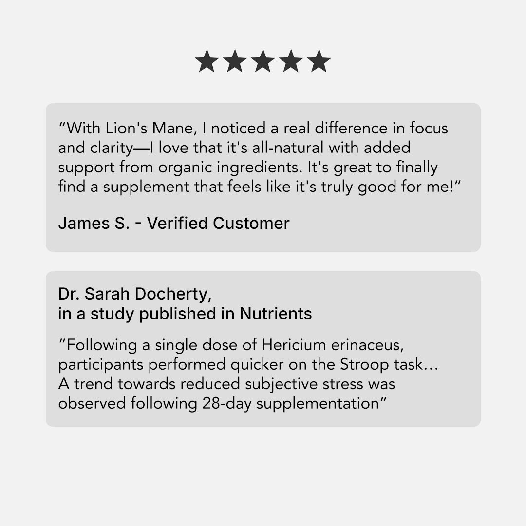Lion's Mane Extract
